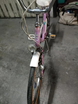 Bicicleta bh Rosa