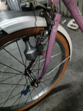 Bicicleta bh Rosa