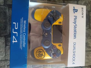 Mando PS4 DualShock 4 Personalizado