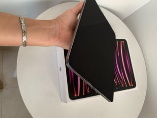 iPad Pro 11 4ª Gen 256GB Wifi Plata