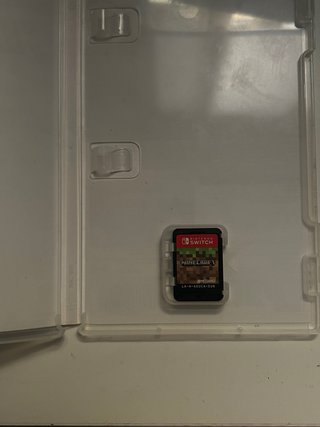Minecraft Nintendo Switch