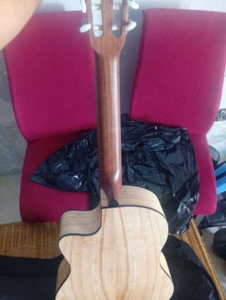 Guitarra implificada admira Elena con su funda