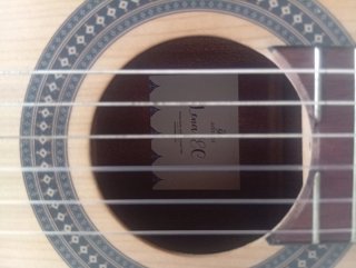 Guitarra implificada admira Elena con su funda