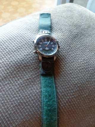 Reloj Timex Expedition INDIGLO