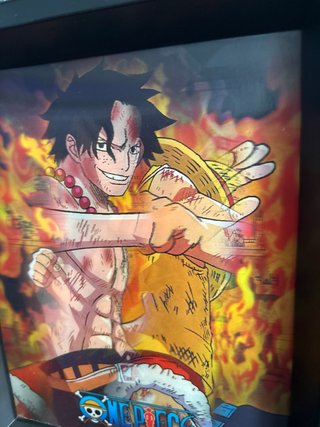 Cuadro One Piece Ace y luffy