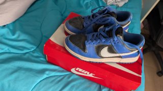 Nike Dunk Low Zapatillas