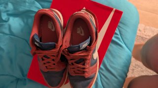 Nike Dunk Low Zapatillas