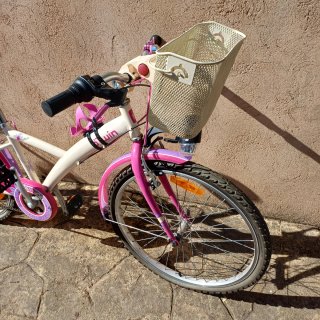 Bicicleta infantil rosa y morada