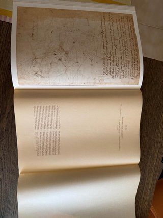 I disegni di Michelangelo – edizione 1964