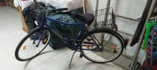 Bicicleta Retro Fischer Talla XXL