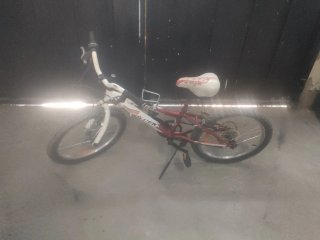 Bicicleta infantil niña/niño