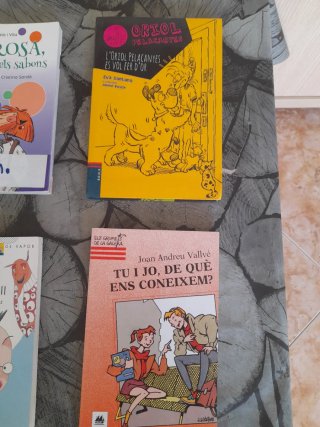 Lote 4 Libros Infantiles Catalán