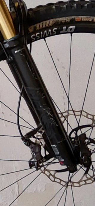 Orbea Wild H10 2020 Talla L