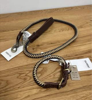 Correa y Collar M Perro Zara Home