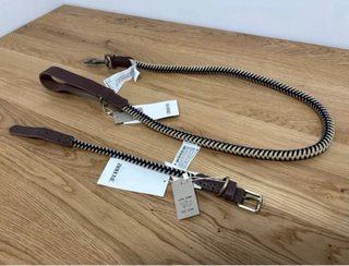 Correa y Collar M Perro Zara Home