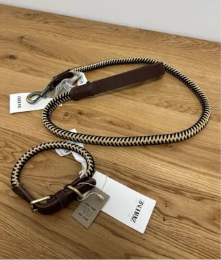 Correa y Collar M Perro Zara Home