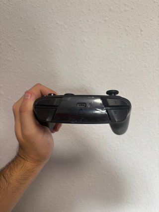 Mando Pro Negro y Plateado para Nintendo Switch
