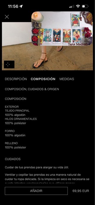Chaqueta bordados Zara Woman Collection viral