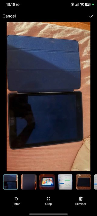 iPad Apple Argento