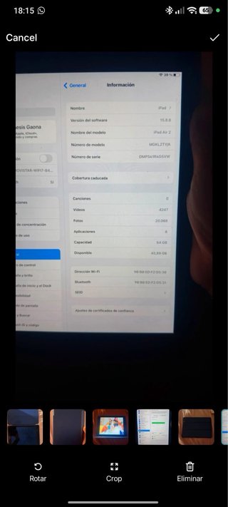 iPad Apple Argento