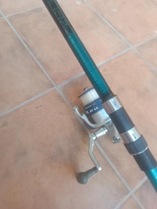 Caña de pescar con carrete