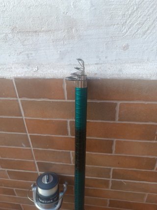 Caña de pescar con carrete