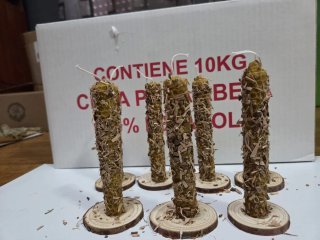 7 Velas Cera Abeja Corteza Sauce