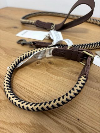 Correa y Collar L Perro Zara Home
