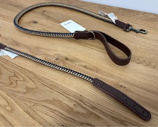 Correa y Collar L Perro Zara Home
