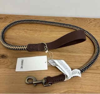Correa y Collar L Perro Zara Home