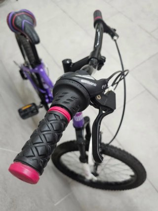 Bicicleta B-Pro 20 Morada