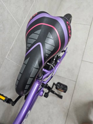 Bicicleta B-Pro 20 Morada