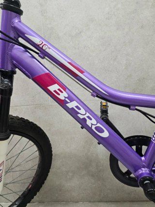 Bicicleta B-Pro 20 Morada