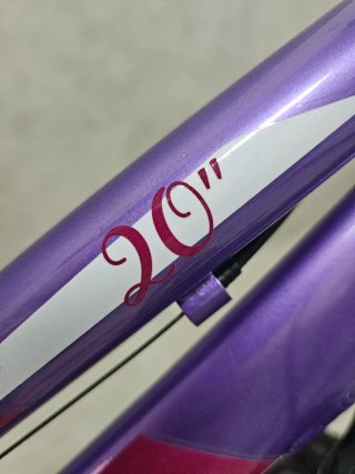 Bicicleta B-Pro 20 Morada