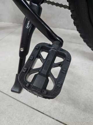 Bicicleta B-Pro 20 Morada