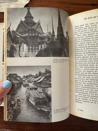 Libro En Asia se muere bajo las estrellas