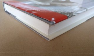 Mientras vivimos. Libro