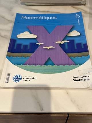 MATEMATIQUES 5 PRIMARIA CONSTRUINT MONS