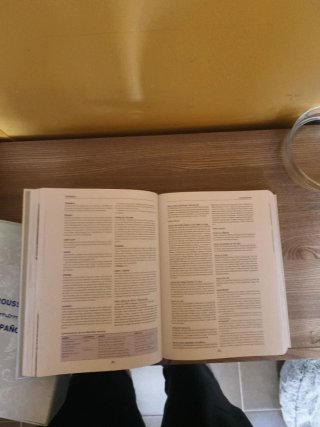 Larousse gastronomique en español