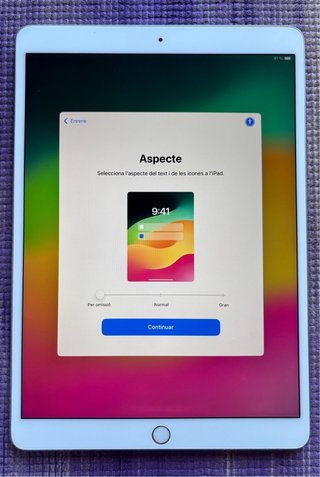 iPad Pro 10.5 256GB WiFi Plata
