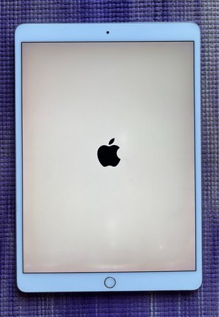 iPad Pro 10.5 256GB WiFi Plata