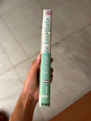 Lote de mangas en español e inglés