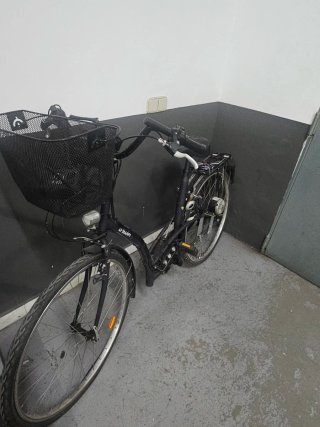 Bicicleta Paseo Eléctrica Adaptada