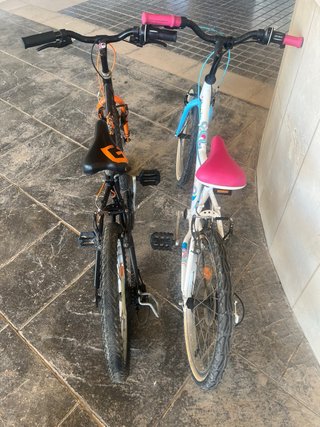 2 Bicicletas Niña/Niño 20 Pulgadas (50 € las dos)
