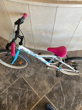2 Bicicletas Niña/Niño 20 Pulgadas (50 € las dos)