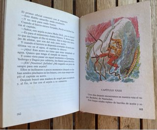 Lote de clásicos juveniles ilustrados