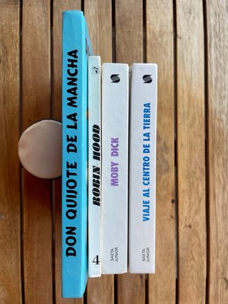 Lote de clásicos juveniles ilustrados