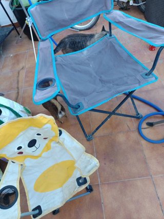 Sillas de camping plegables y sombrilla