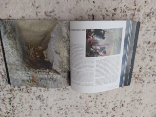 Historia de Gipuzkoa a través del túnel de San ...