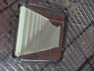 Jaula grande para hámster y accesorios